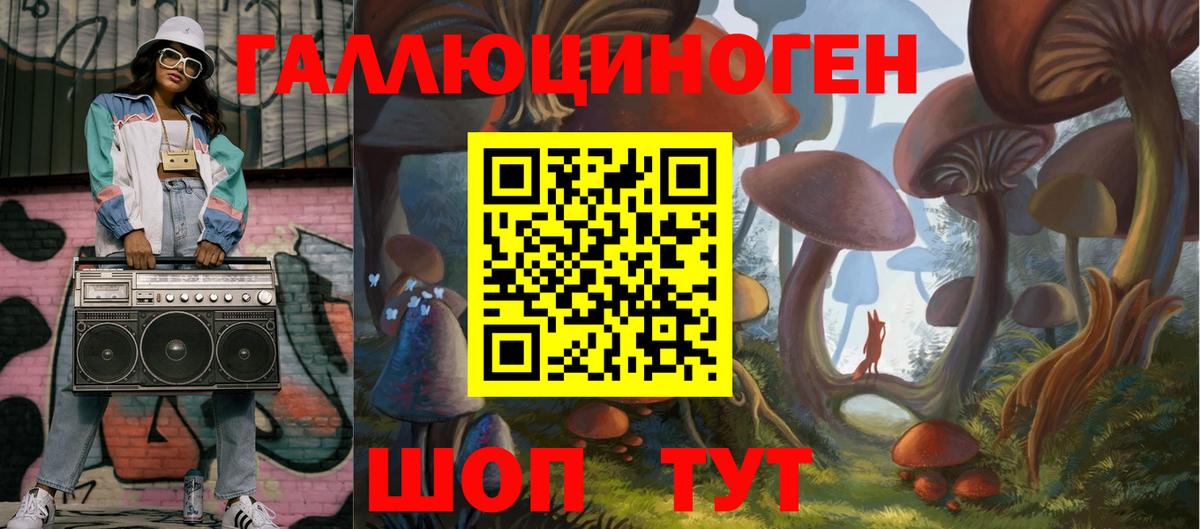 Псилоцибиновые грибы Psilocybine cubensis Екатеринбург