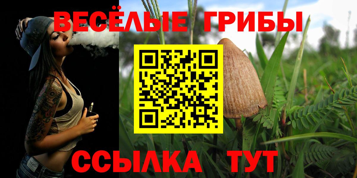 Галлюциногенные грибы Magic Shrooms  Псилоцибиновые грибы Psilocybe  Екатеринбург  Вход с VPN 